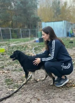 10 miesięczny Majlo - wesoły, przyjazny szczeniak!  MAJLO – piesek, którego nikt nie zauważa, a któr, , Warszawa