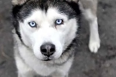 ALASKA - ofiara mody?