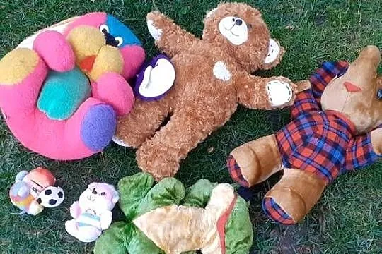 Maskotki,zabawki do zszycia,naprawy ,lub dla zwierząt,psów,6szt., Kujawsko-pomorskie, Tuszkowo