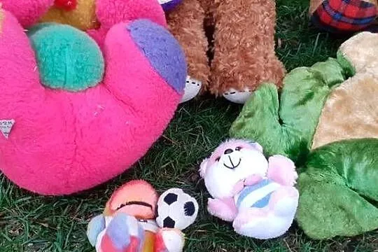 Maskotki,zabawki do zszycia,naprawy ,lub dla zwierząt,psów,6szt., Kujawsko-pomorskie, Tuszkowo