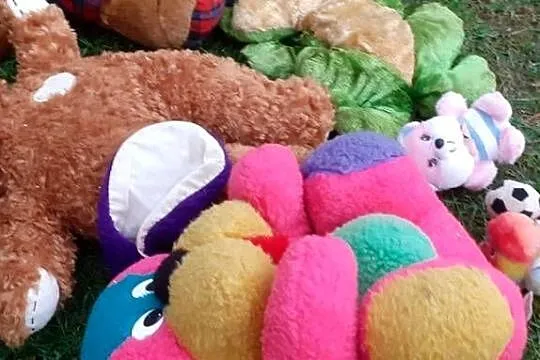 Maskotki,zabawki do zszycia,naprawy ,lub dla zwierząt,psów,6szt., Kujawsko-pomorskie, Tuszkowo