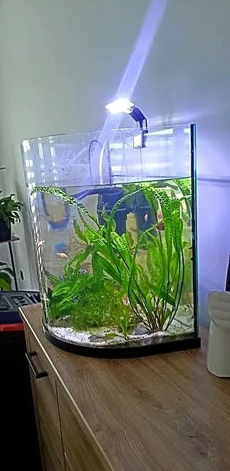 sprzedam akwarium Tetra 50 l, Mazowieckie, Szydłowiec