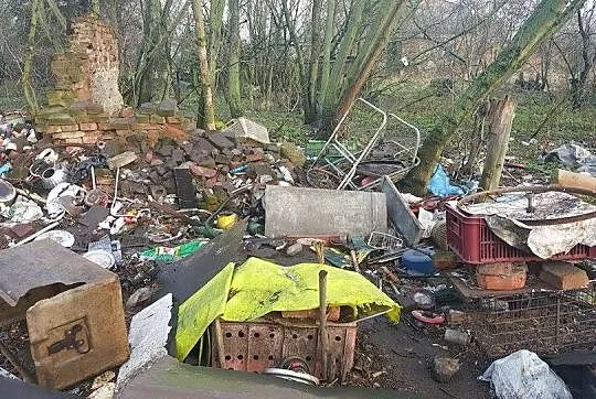 Nirvanka- suczka, która żyła w drastycznych warunk
