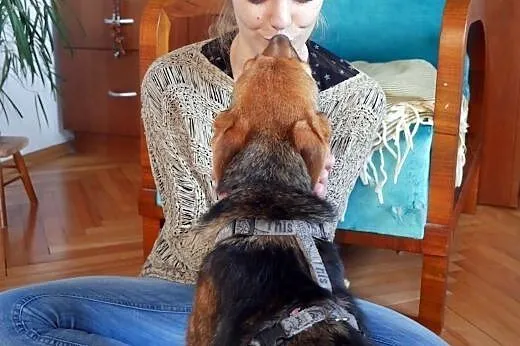 Hermiona - adoptuj, na co czekasz :),  mazowieckie
