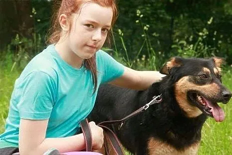 Nala - kochana SUNIA szuka domu,  podlaskie Białys