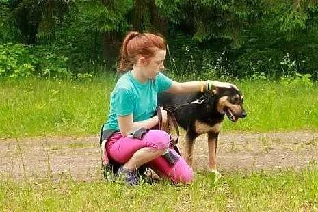 Nala - kochana SUNIA szuka domu,  podlaskie Białys