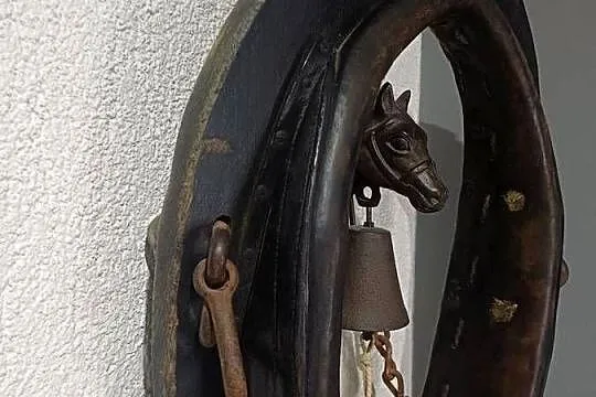 Homonto dla konia, Wielkopolskie, Nowy Tomyśl
