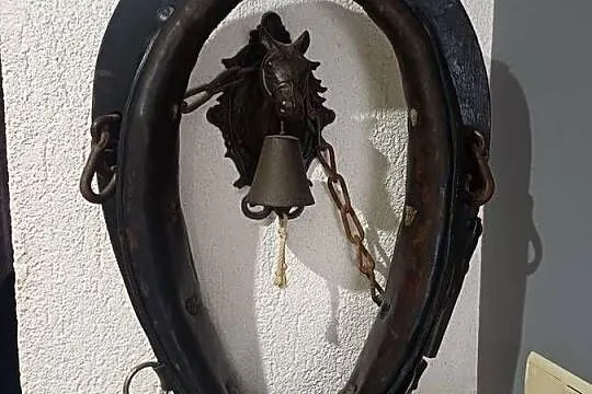 Homonto dla konia, Wielkopolskie, Nowy Tomyśl
