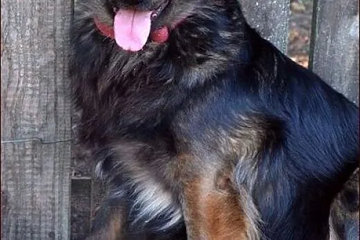 Już czas na domek dla Buni :),  warmińsko-mazurski