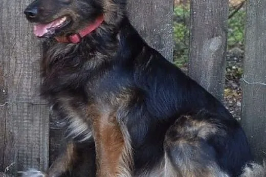 Już czas na domek dla Buni :),  warmińsko-mazurski