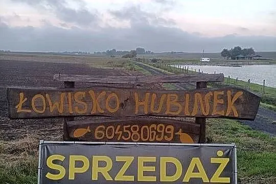 Sprzedam ryby Karp Amur Tołpyga Szczupak