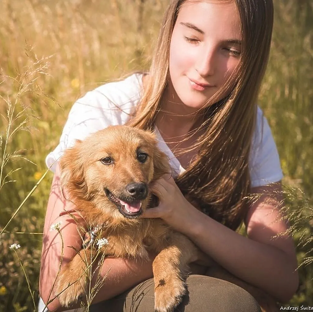 Czaruś-4 miesięczny piesek do adopcji!, Śląskie, Częstochowa