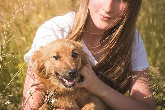 Czaruś-4 miesięczny piesek do adopcji!, Śląskie, Częstochowa
