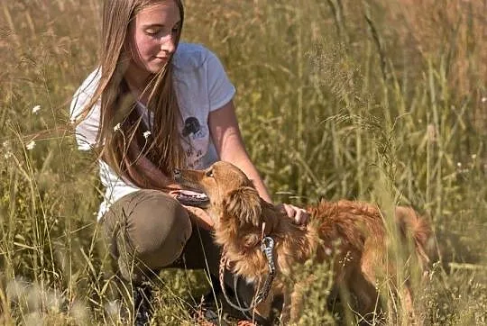 Czaruś-4 miesięczny piesek do adopcji!, Śląskie, Częstochowa
