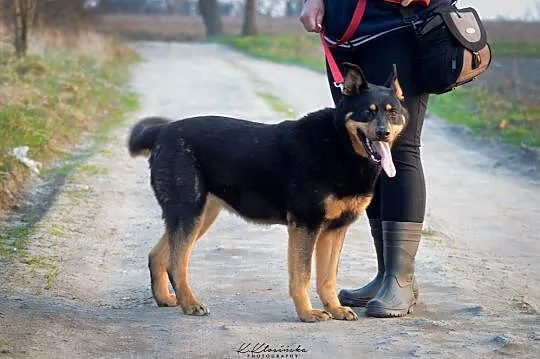 Cudowna Farida, wesoła, aktywna i niekofnliktowa s
