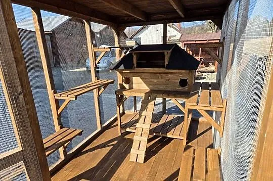 Woliera dla kotów z budą, Małopolskie, Jordanów