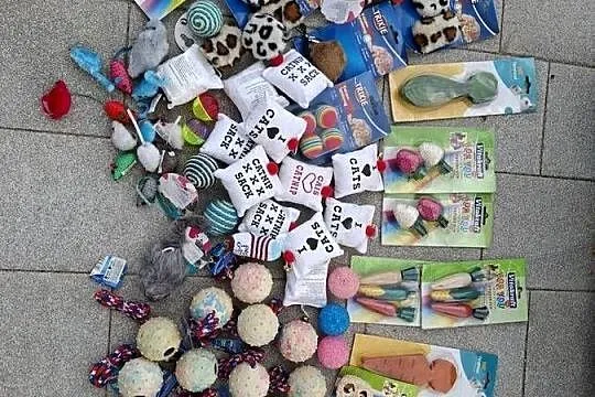 Zabawki dla kota, psa, królika
