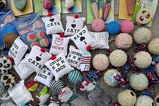 Zabawki dla kota, psa, królika, Mazowieckie, Kajetany