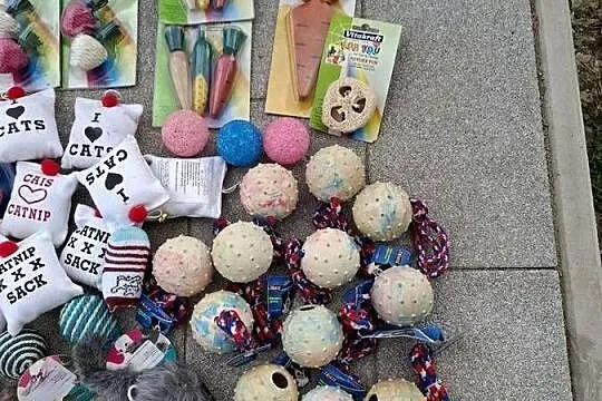 Zabawki dla kota, psa, królika, Mazowieckie, Kajetany
