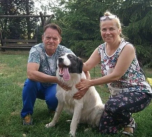 Ranczo - spełnienie marzeń miłośników rozmiaru XL,