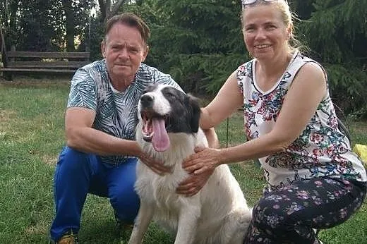 Ranczo - spełnienie marzeń miłośników rozmiaru XL,