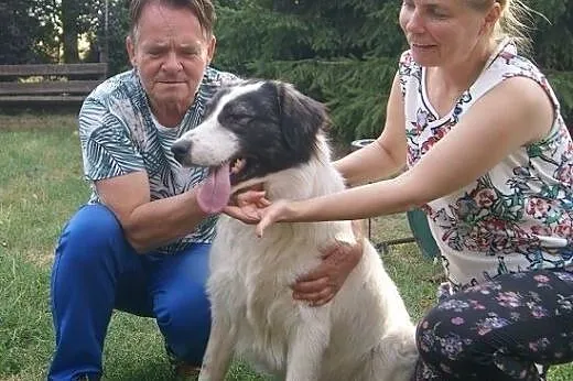Ranczo - spełnienie marzeń miłośników rozmiaru XL,