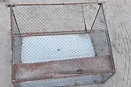 Wylot dla golebi,krata