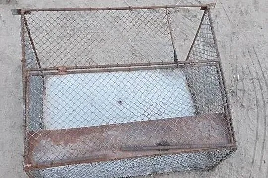 Wylot dla golebi,krata