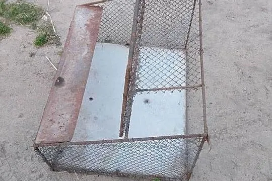 Wylot dla golebi,krata, Lubelskie, Krzywda