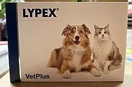 Lypex Vetplus 60 kapsułek w opakowaniu