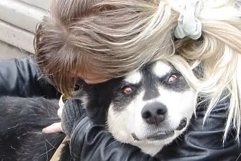 LOVEC całuśny, przytulaśny szuka domu
