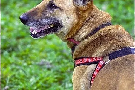 Wyjątkowa Zara czeka na wyjątkowego człowieka___