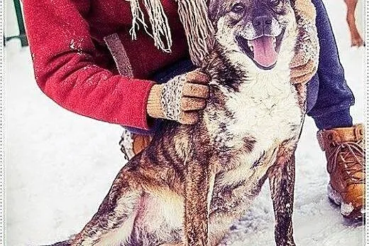 Wesoła, młoda Misia, oaza łagodności  poleca się d