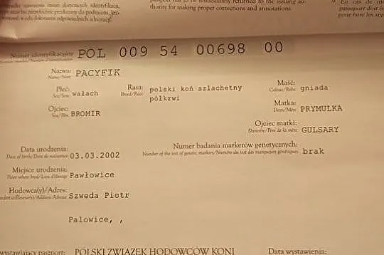 Współdzierżawa kucyka, , 