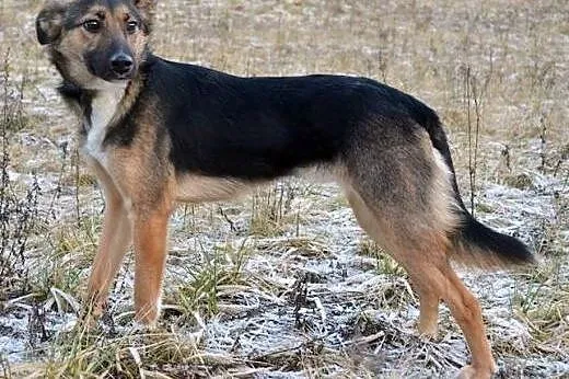 Sara - delikatna, cudowna dziewczynka :),  warmińs