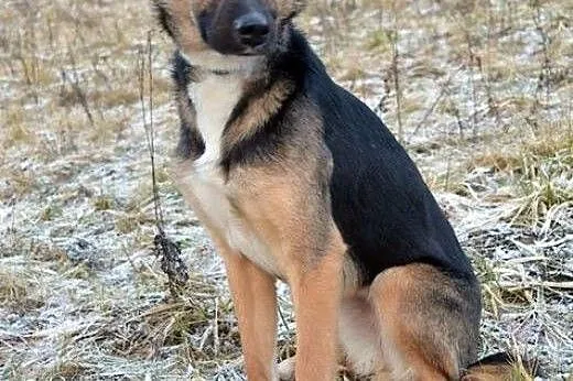 Sara - delikatna, cudowna dziewczynka :),  warmińs