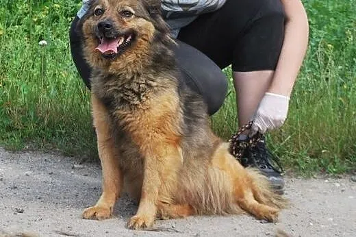Ufna,  spokojna i grzeczna Ksenia prosi o dom.,  ś