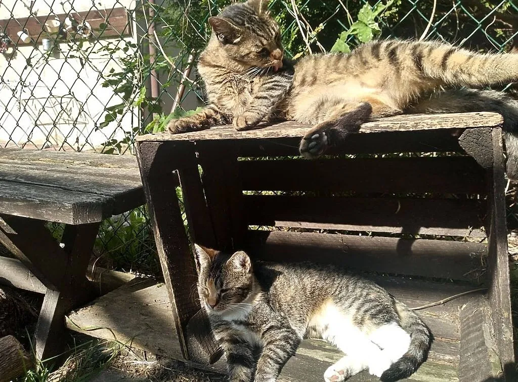 MELA - do pokochania od zaraz! ;), Łódzkie, Łódź