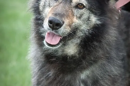 Rita szuka domu, mazowieckie Warszawa