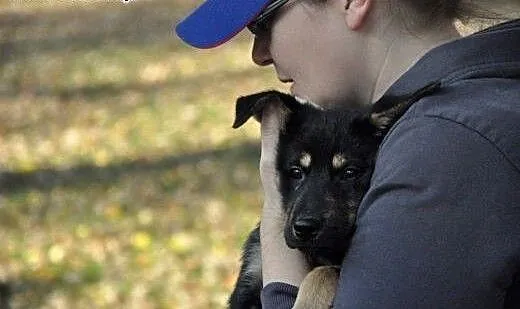 Lunka 11 miesieczna Pilnie szuka domku, Kundelki