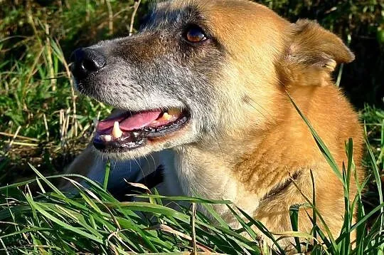 Przerażona KAJA musi jak najszybciej opuścić schro