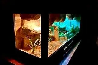 Okazja terrarium dla agamy gekona żółwia węża kameleona legwana boa pająka