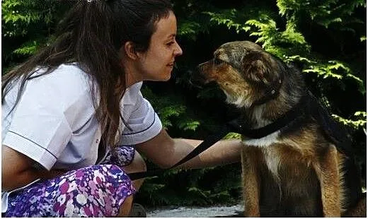 Sówka - 4 letnia spokojna suczka szuka domu!, maz
