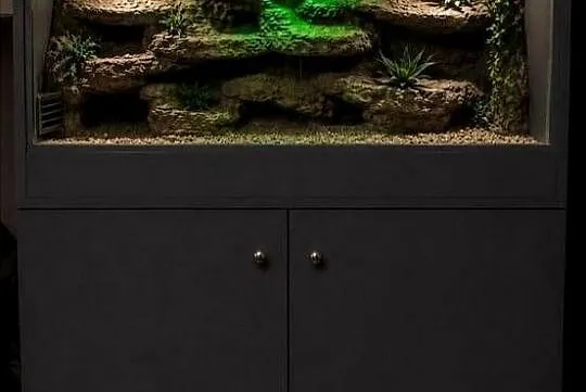 Terrarium dla pytona regiusa boa cesarskiego