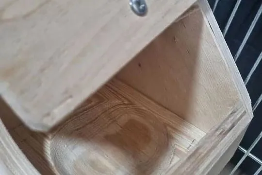 Budka dla gołąbka diamentowego, Śląskie, Rybnik