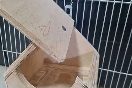 Budka dla gołąbka diamentowego, Śląskie, Rybnik