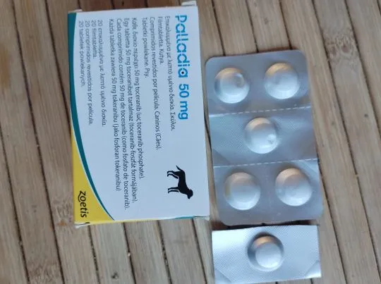 Palladia 50mg lek onkologicznym dla psa, Stan nowy +6 tabletek gratis (w sumie 26tablets)