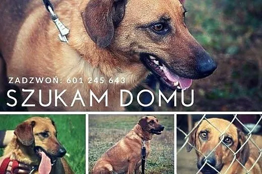Dlaczego mnie porzuciłeś? Przecież tak bardzo Cię 