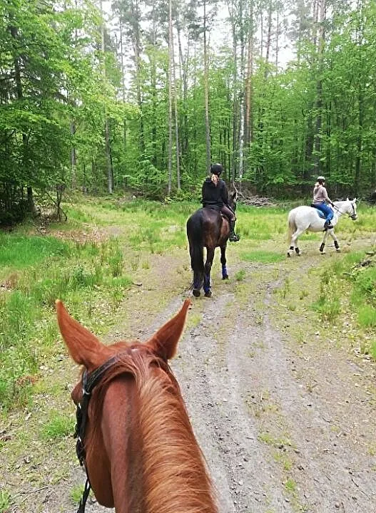 Weekend w siodle :) Gdynia ->Bieszkowice, ,