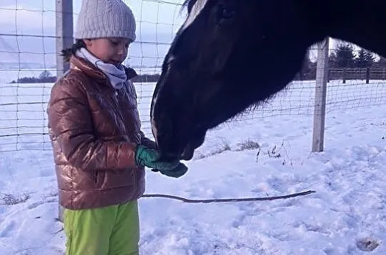 Duża Klacz śl/zz do współdzierzawy, , 